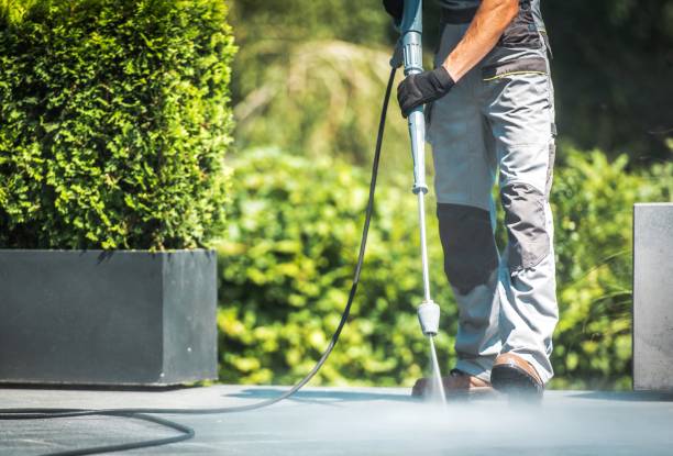 Best Solar Panel Cleaning  in Maple Park, IL