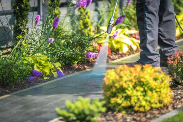 Best Gutter Cleaning  in Maple Park, IL