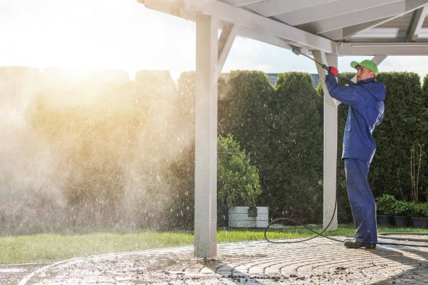 Best Building Exterior Washing  in Maple Park, IL