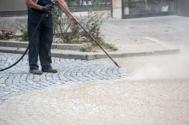 Best Fence Cleaning  in Maple Park, IL