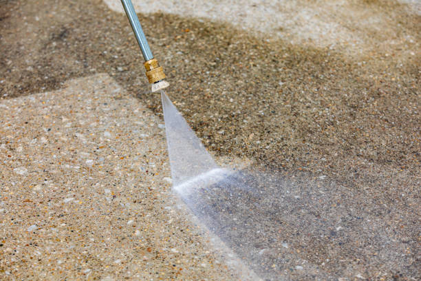 Best Roof Washing  in Maple Park, IL